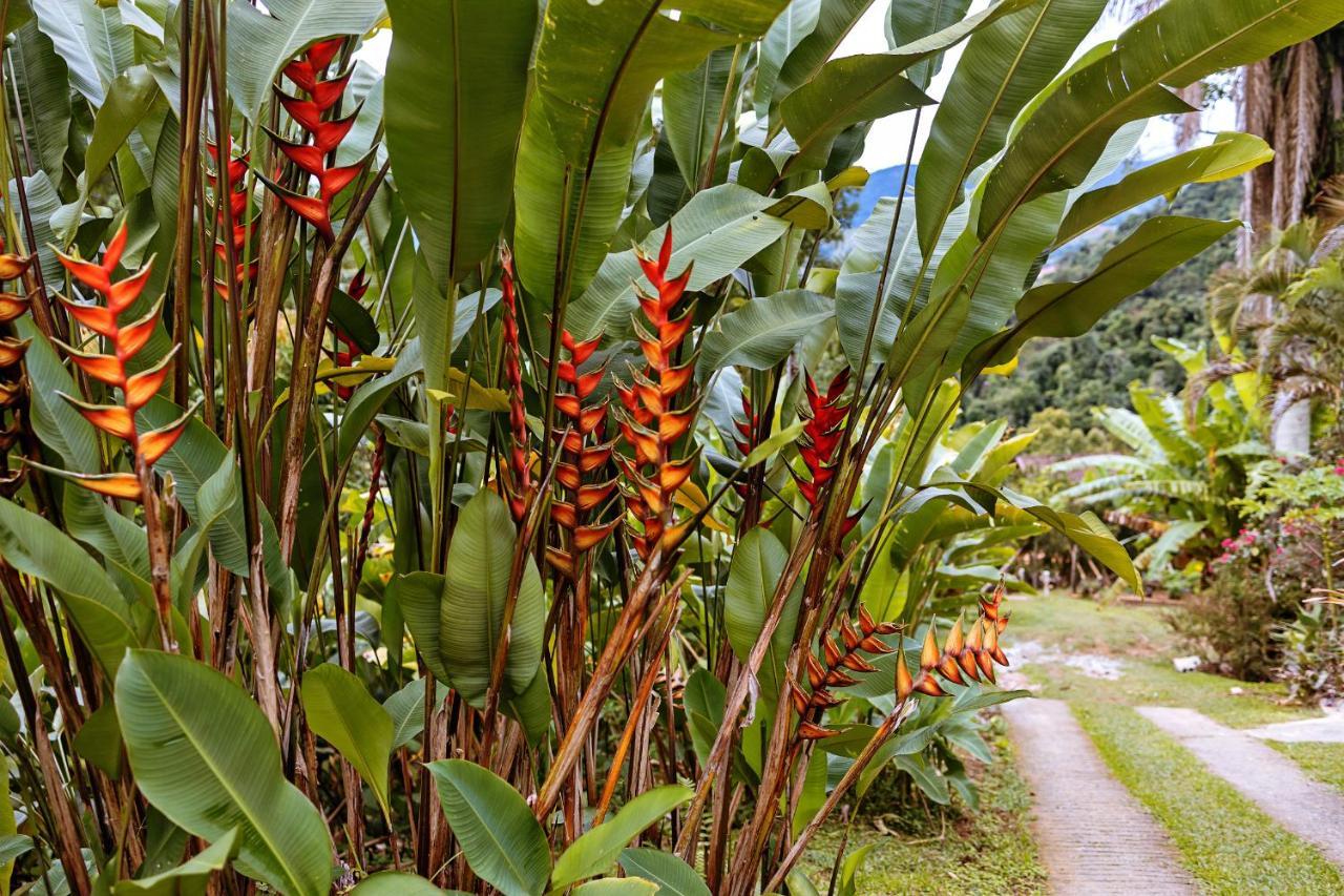 Chales Sol Araquari Exterior foto